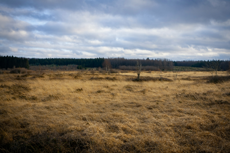 defricher un terrain