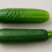 concombre et courgette